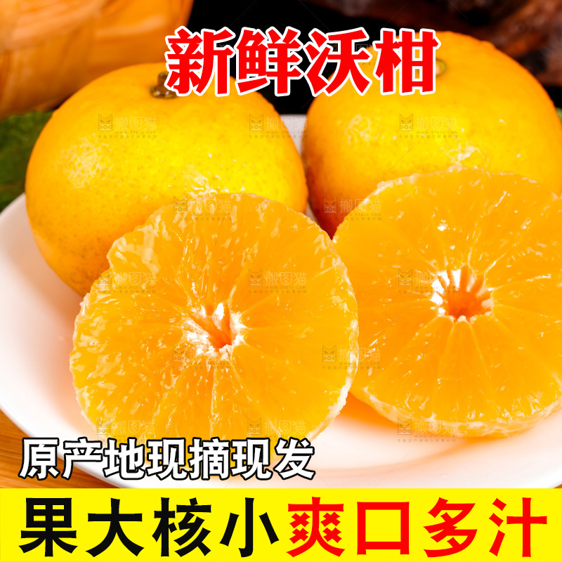 木板上的广西武鸣沃柑