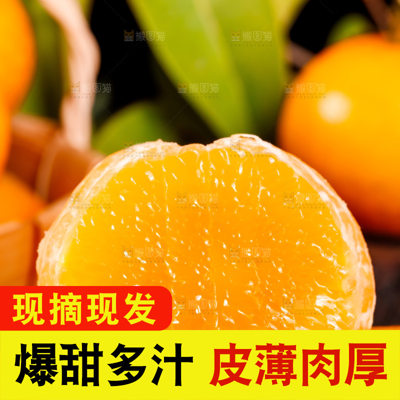 木板上的广西武鸣沃柑