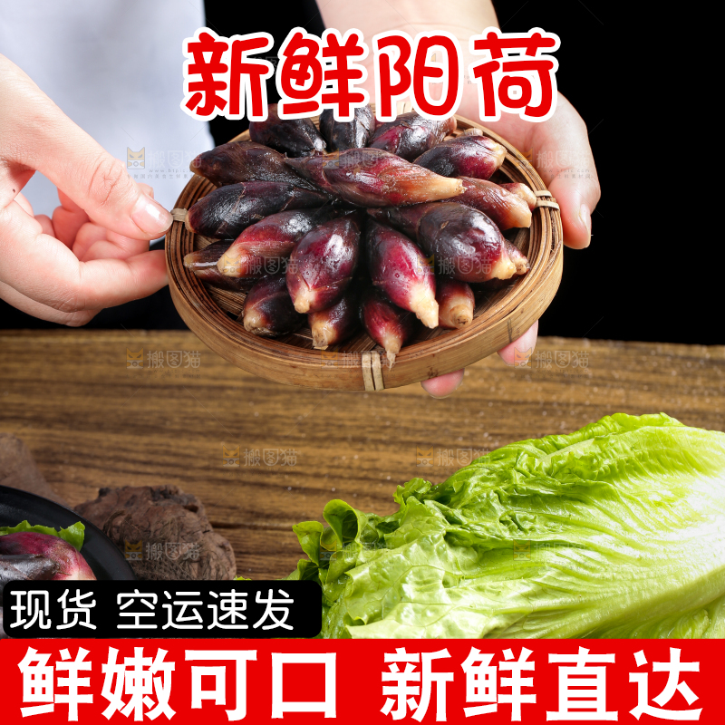 手里拿着一篮野生阳荷姜