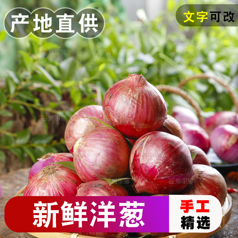 篮子里的新鲜洋葱