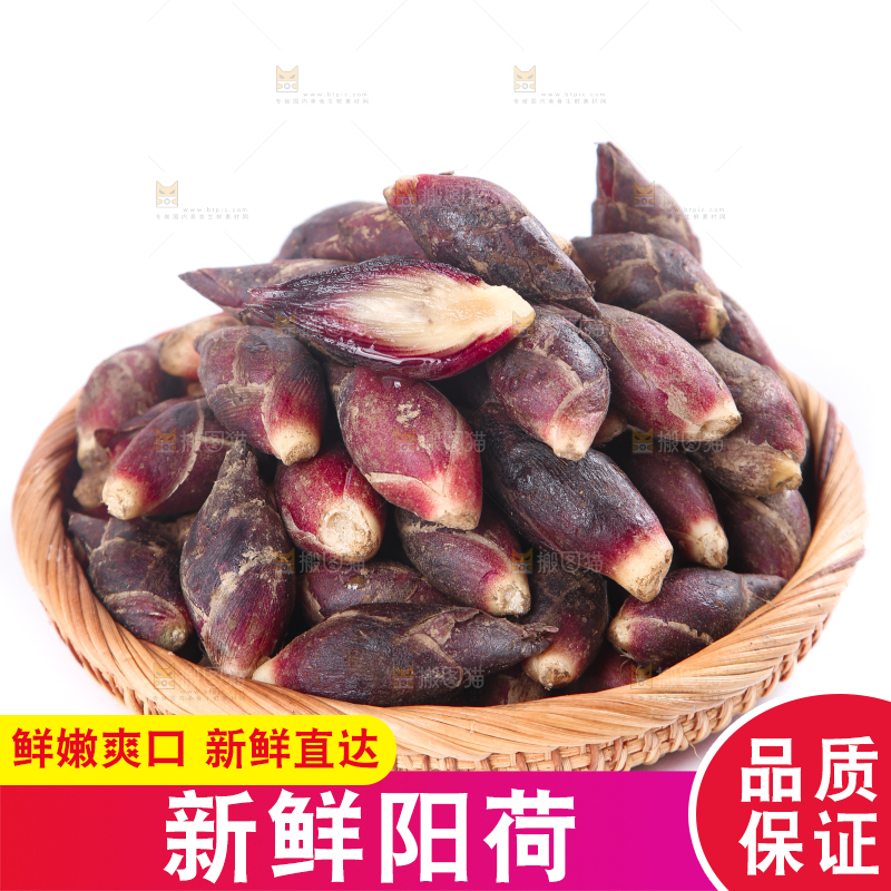篮子里装着阳荷