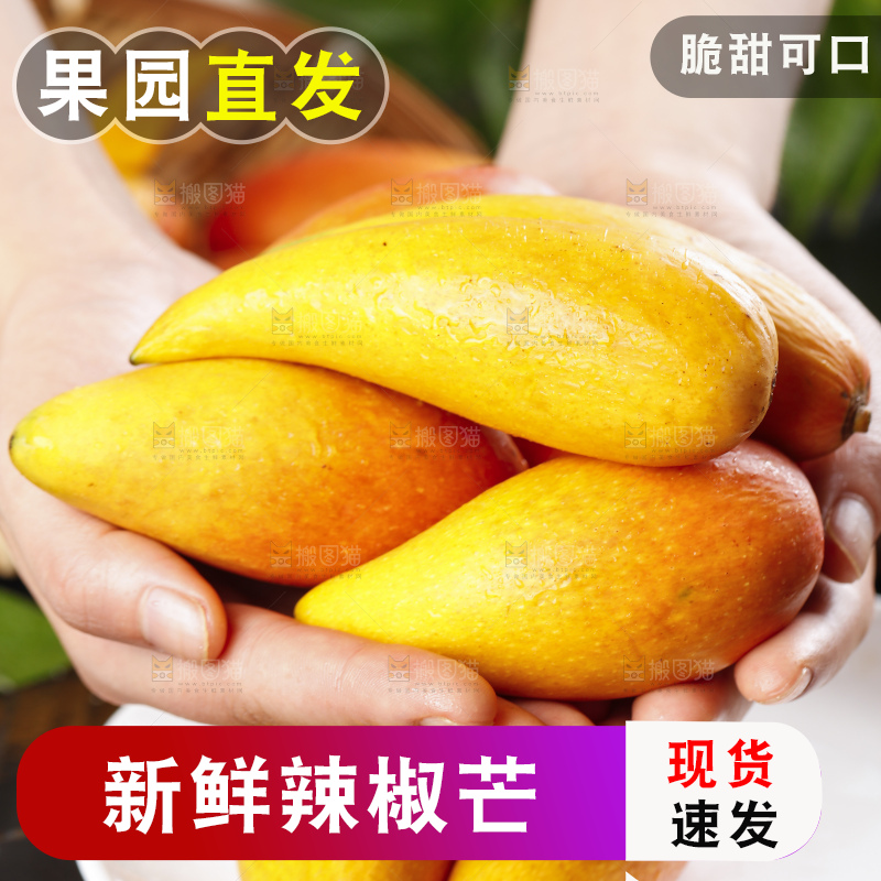 手里拿着新鲜芒果