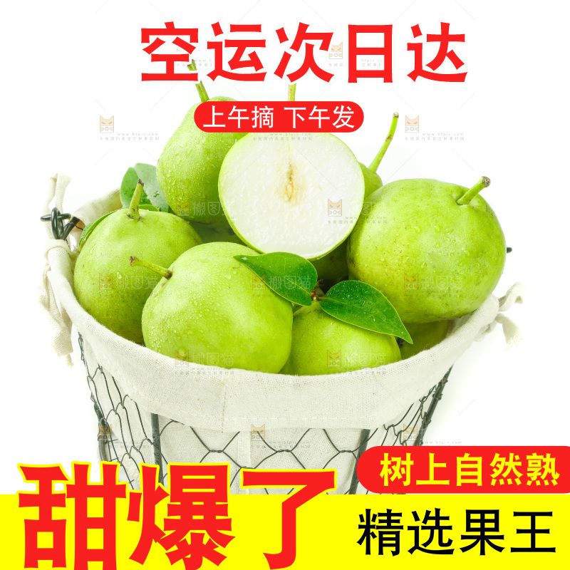 篮子里装着青皮早酥梨