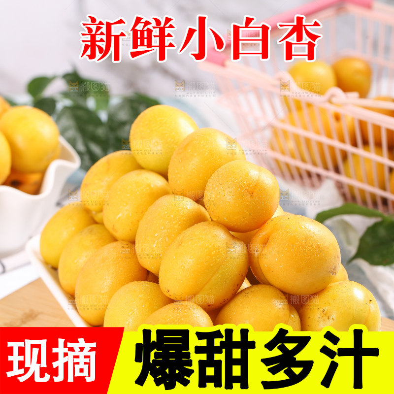 盘子里装着新疆小白杏