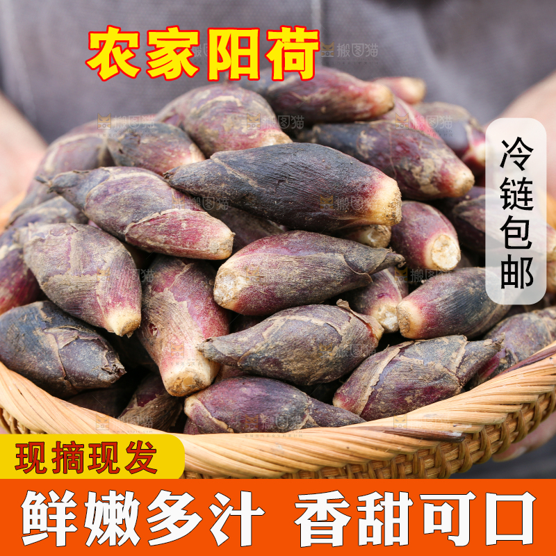 手里端着一篮贵州新鲜阳荷