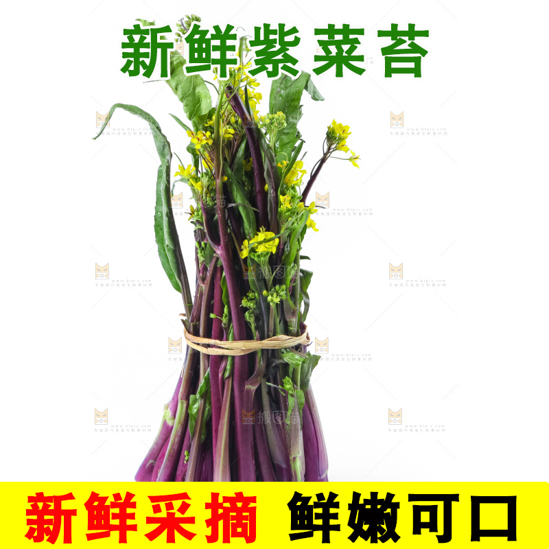 白底上的紫菜苔