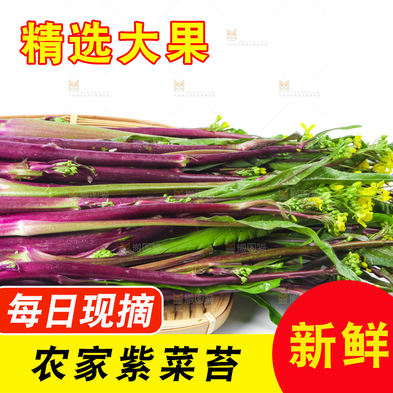 白底上的紫菜苔