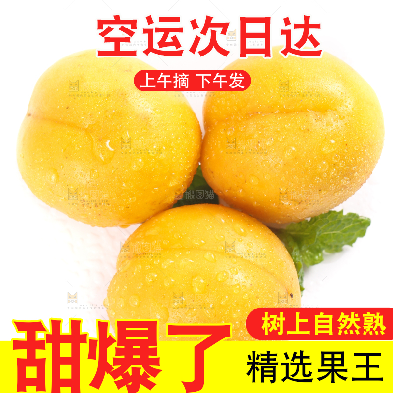 白底上摆放着小白杏