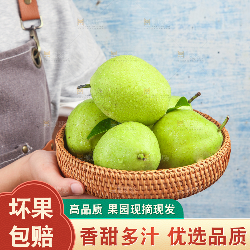 手里端着一篮青皮早酥梨