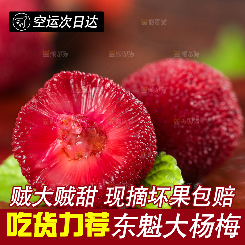 木板上摆放着东魁杨梅