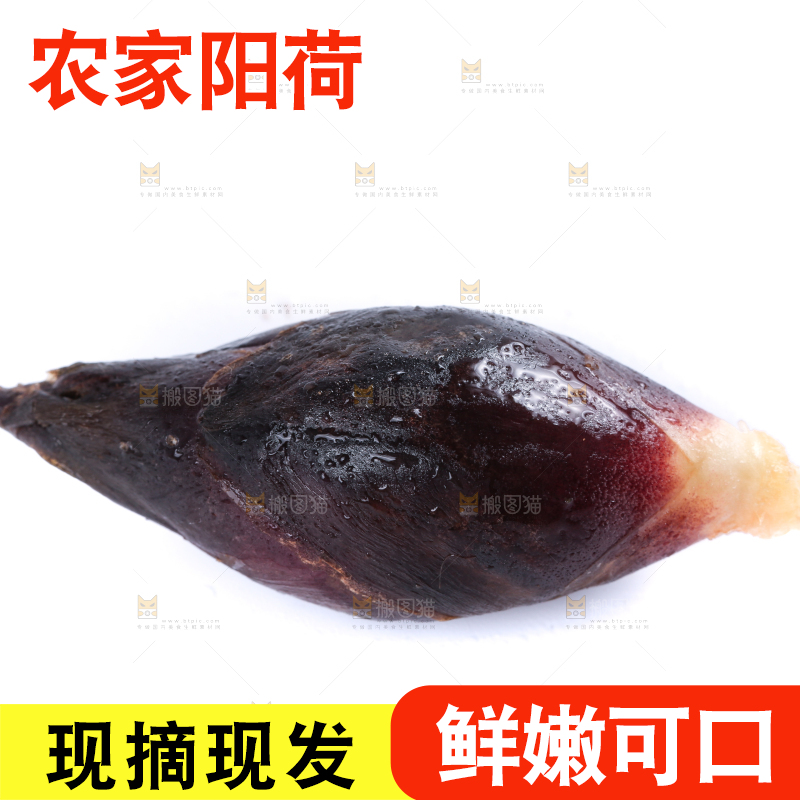 白底上摆放着阳荷姜