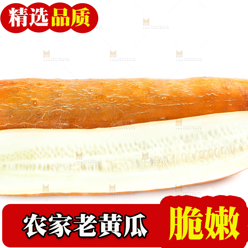 白底上的新鲜老黄瓜