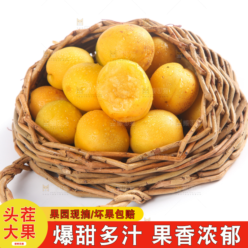 篮子里装着杏子