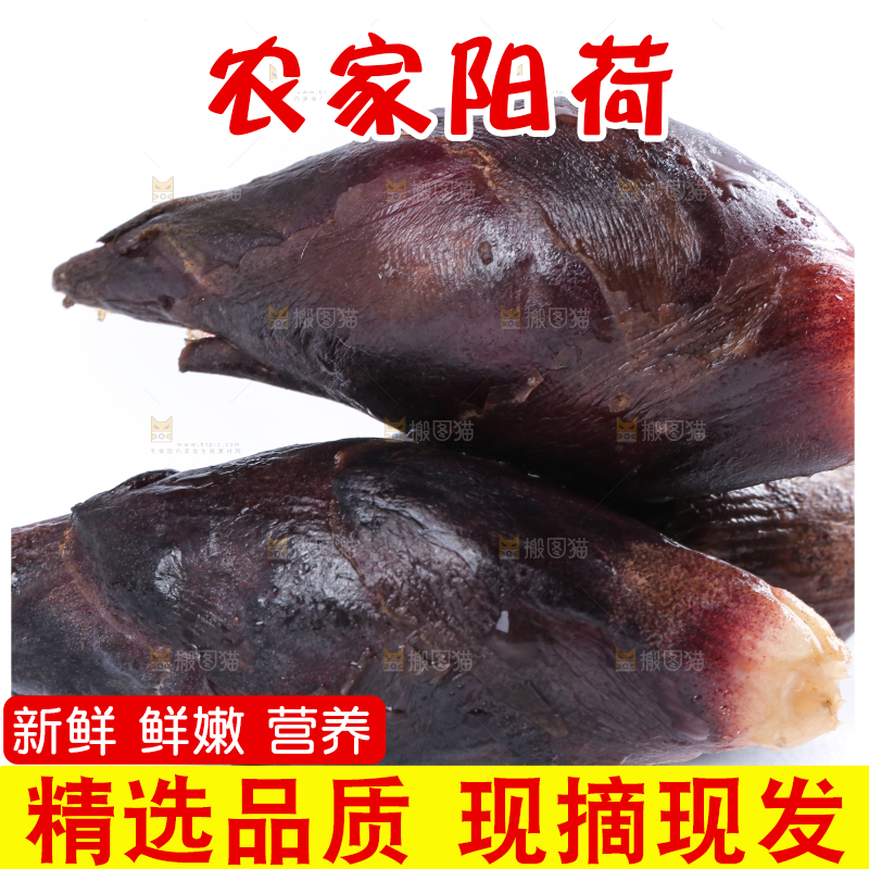 白底上摆放着阳荷姜