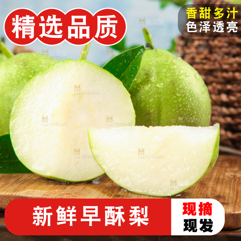 木底上摆放着早酥梨