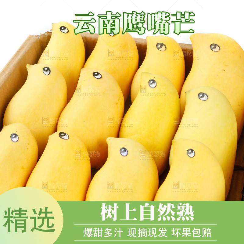纸箱里装着鹰嘴芒
