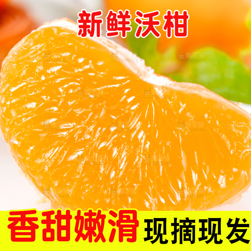 盘子里装着广西武鸣沃柑
