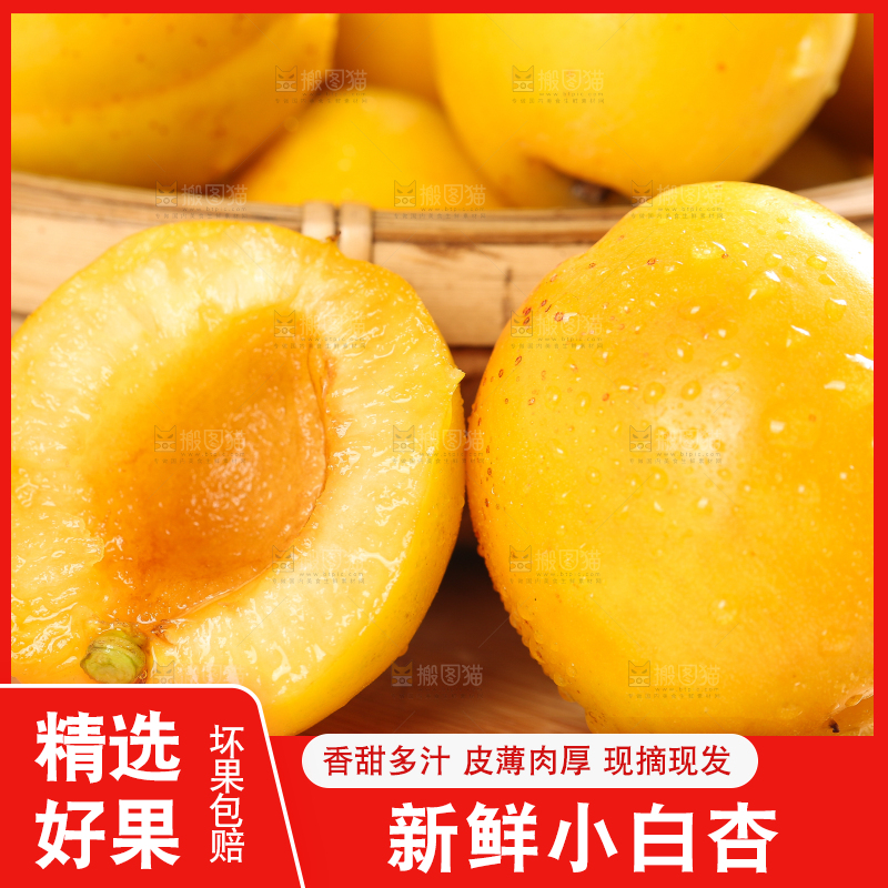 木板上摆放着小白杏