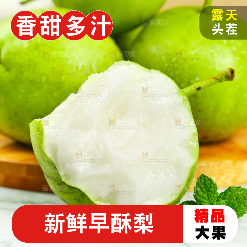 木底上摆放着早酥梨