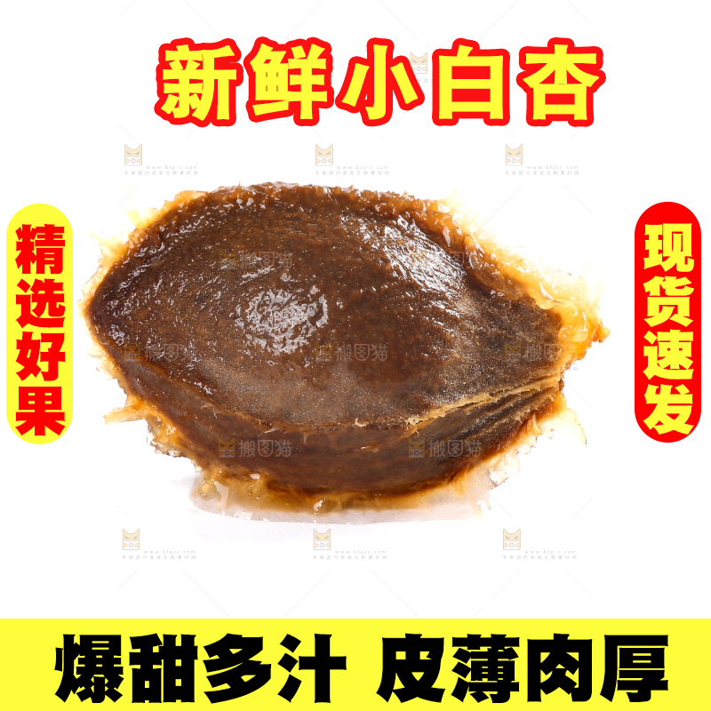 白底上放着白杏核