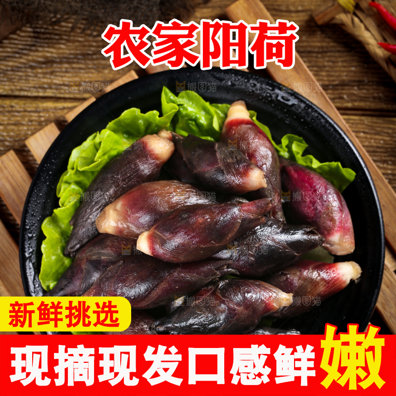 盘子里装着阳荷姜