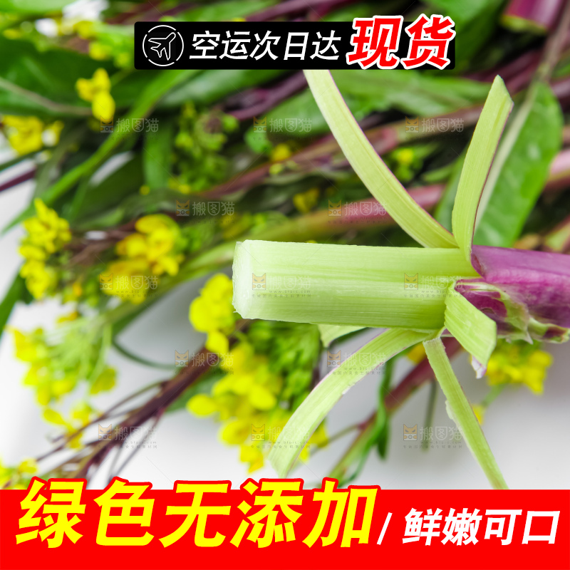 白底上的紫菜苔