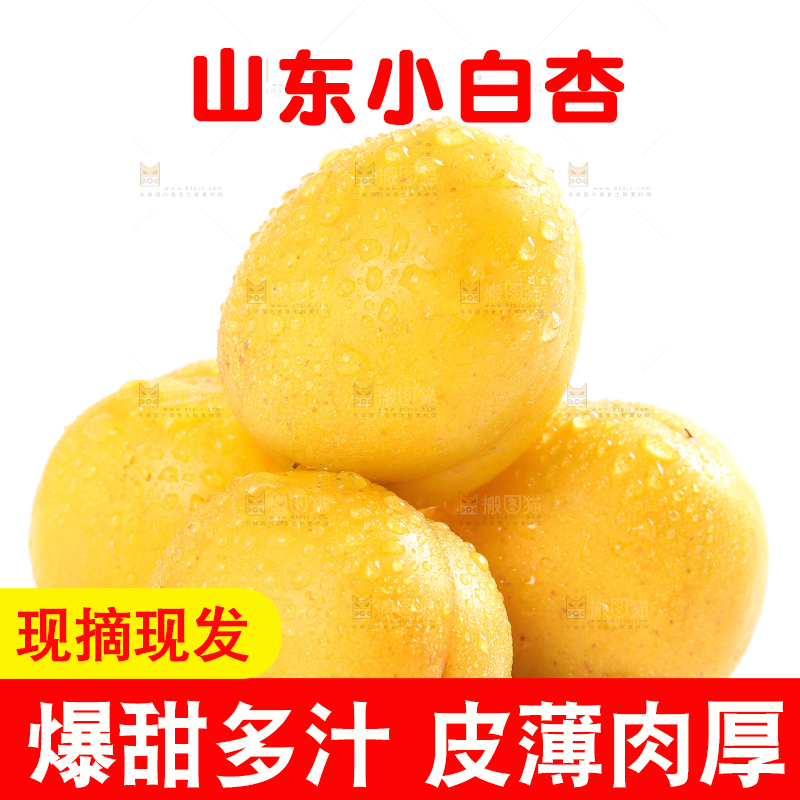 白底上摆放着小白杏