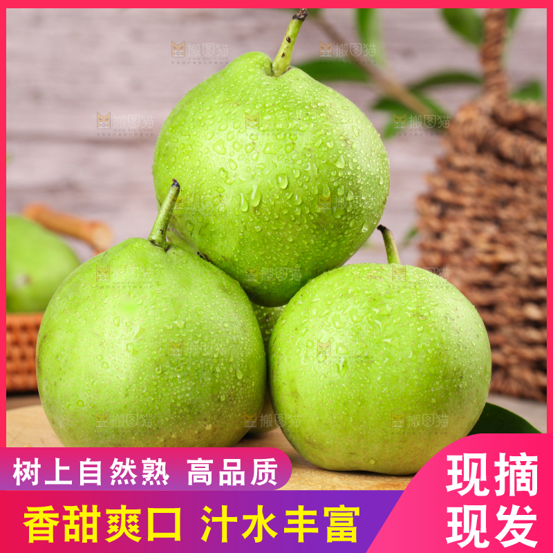 木板上摆放着早酥梨
