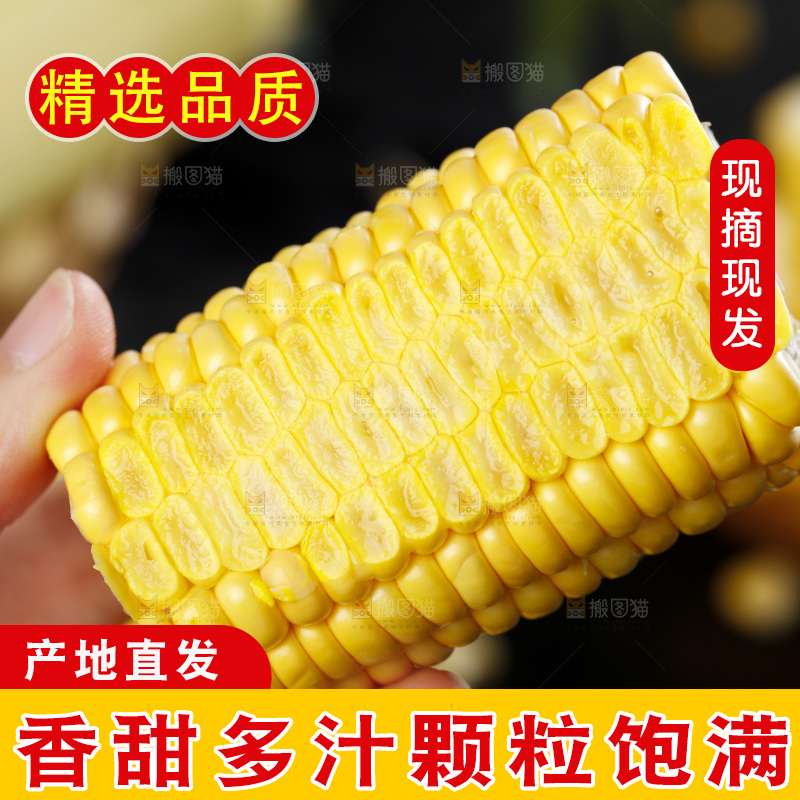 手里拿着新鲜玉米