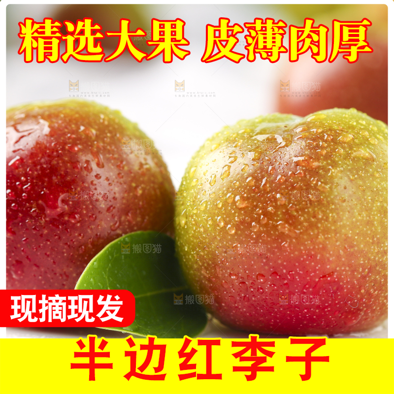 石板上摆放着四川茵红脱骨李