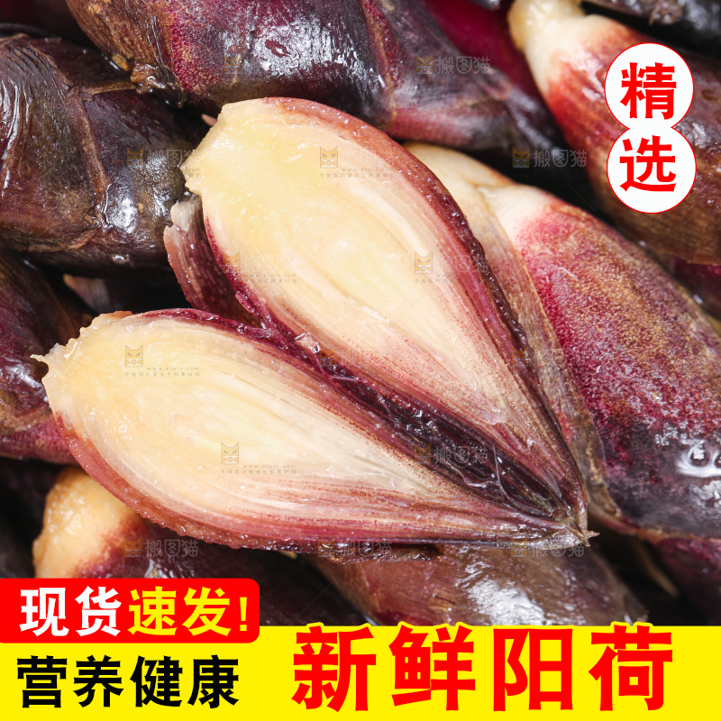 堆放着一堆的贵州新鲜阳荷