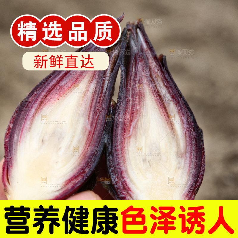 手里拿着新鲜阳荷姜