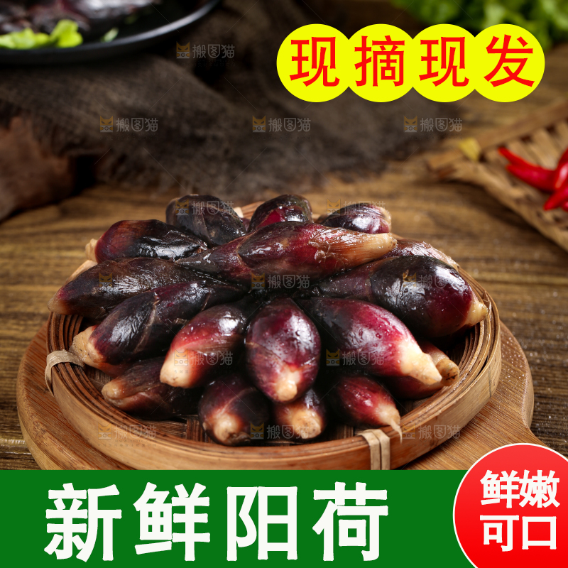 篮子里装着野生阳荷姜