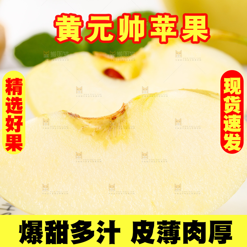 浅底上的烟台黄元帅