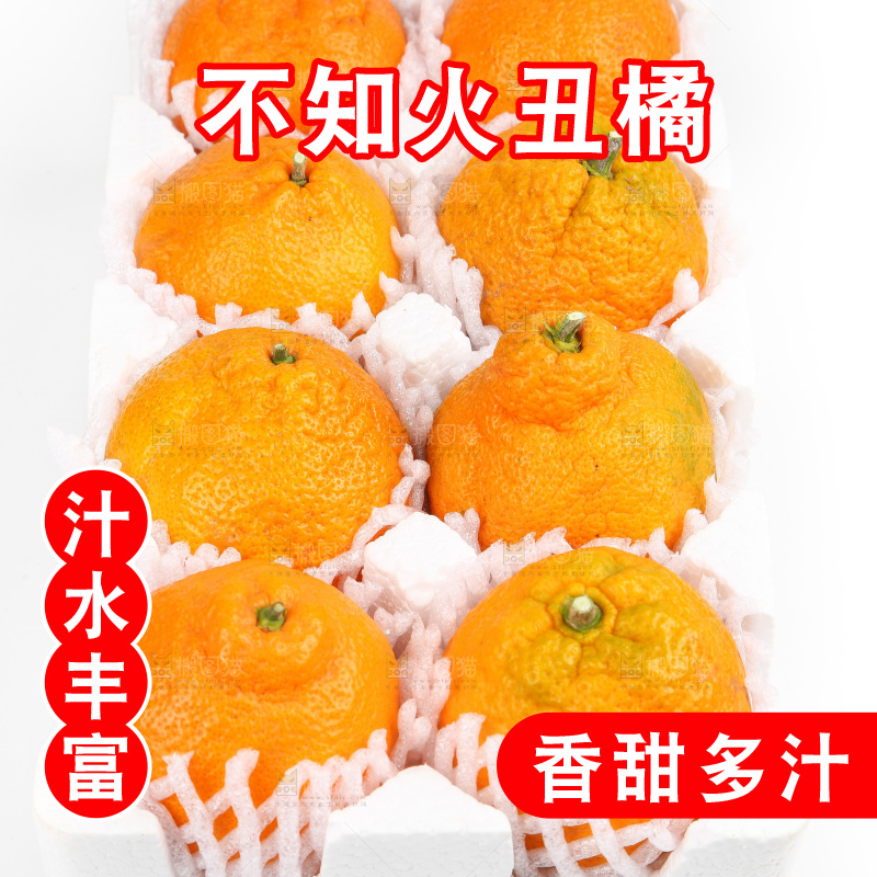 泡沫箱里的丑八怪