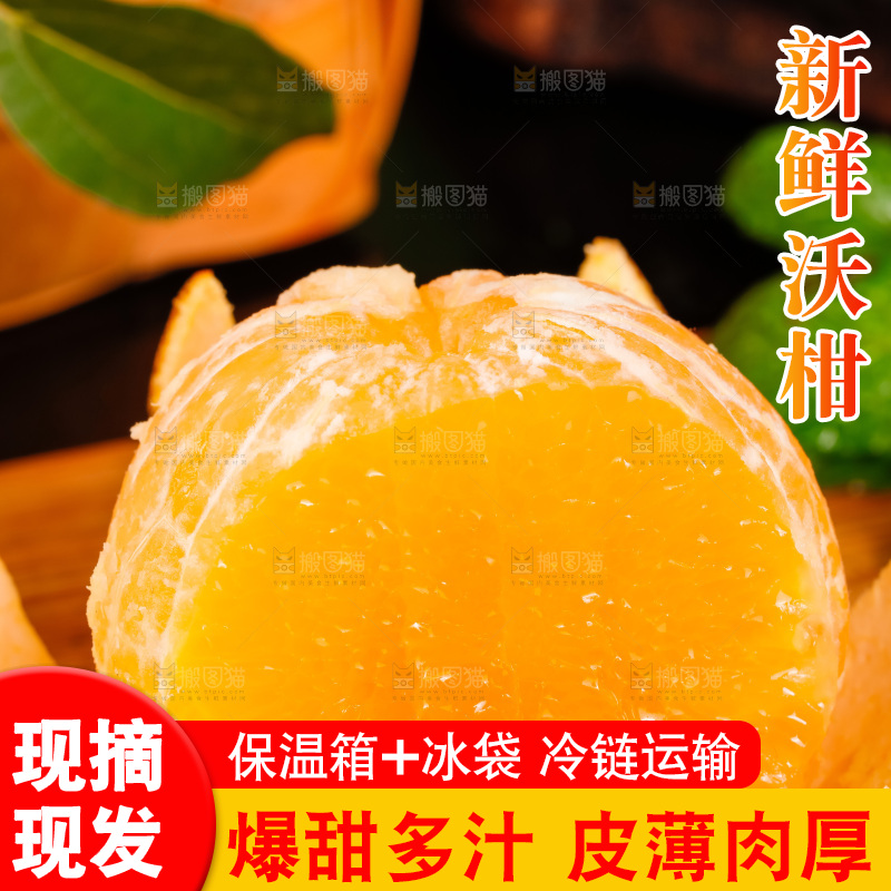 木板上的广西武鸣沃柑