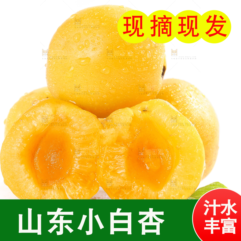 白底上摆放着小白杏