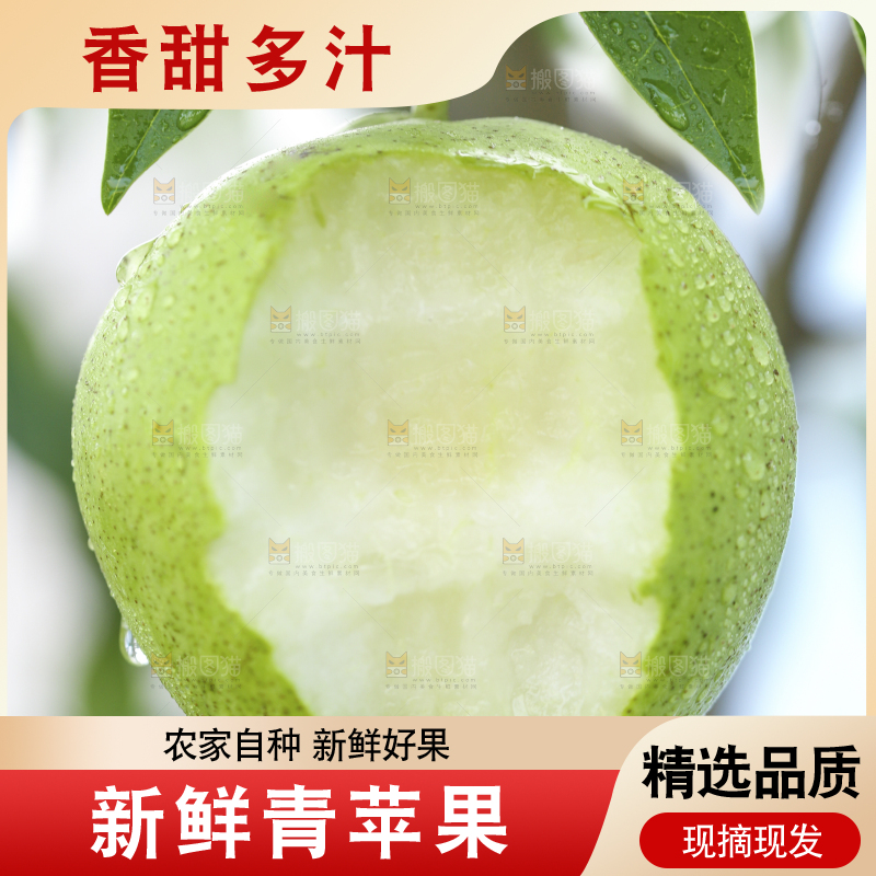 树枝上的青苹果