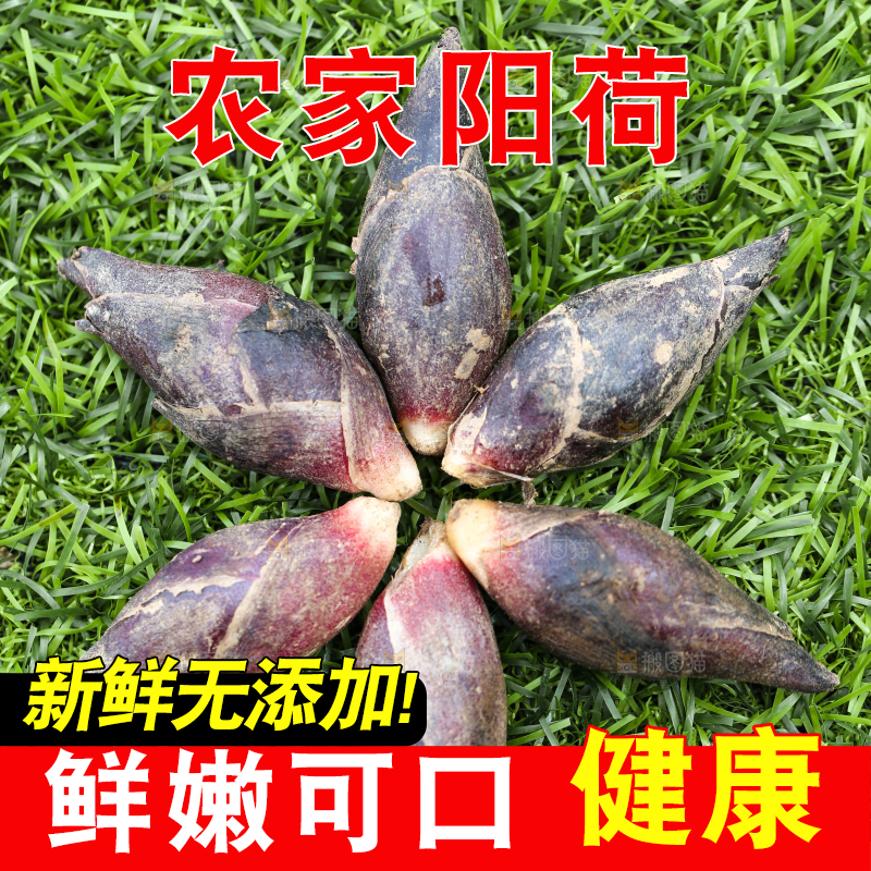 绿草地上摆放着阳荷