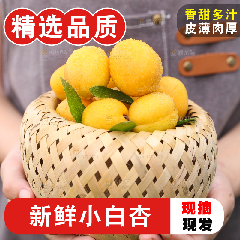 手里拿着一篮新鲜小白杏