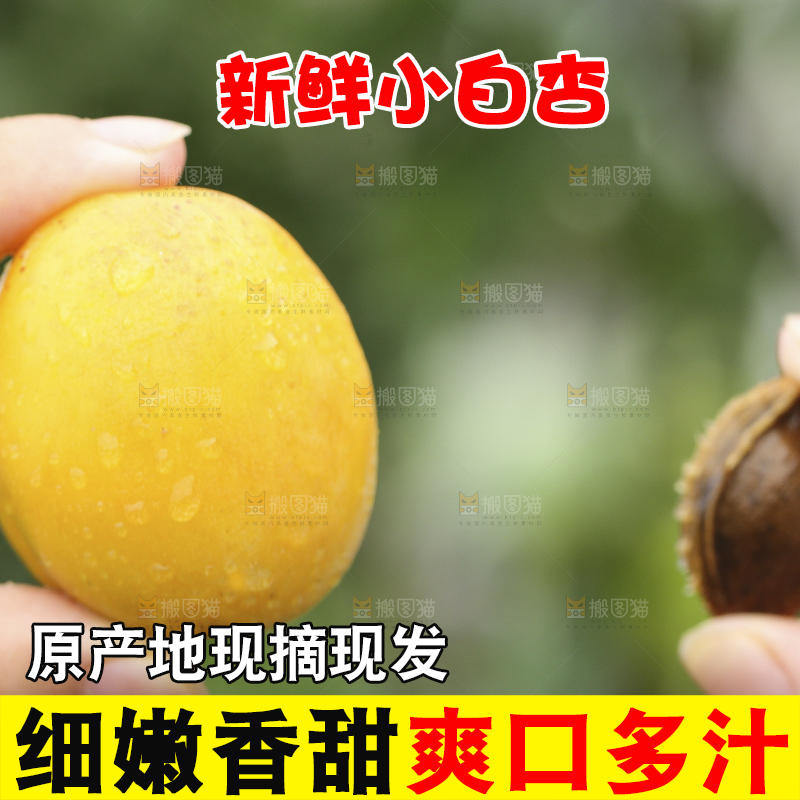 手里拿着小白杏