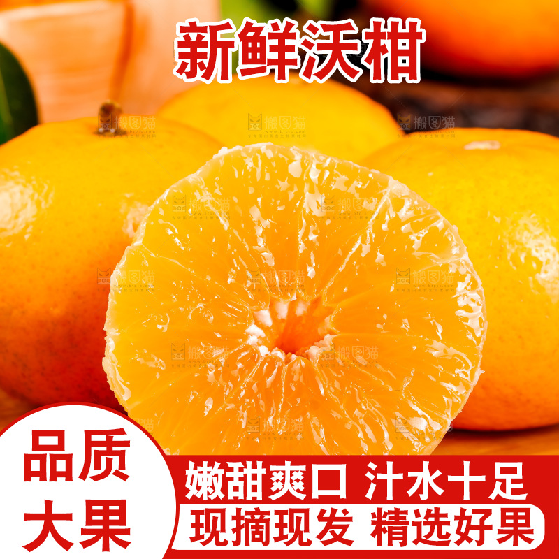 木板上的广西武鸣沃柑