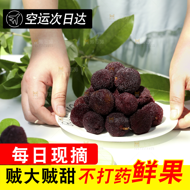 手里端着一盘新鲜杨梅