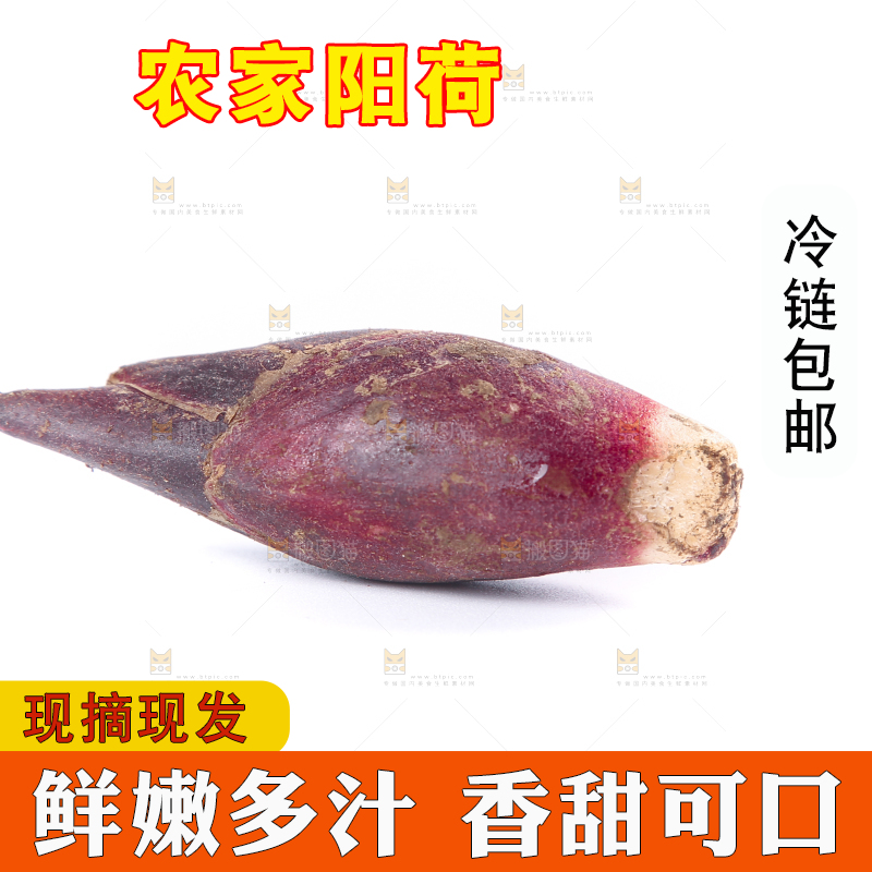 白底上摆放着阳荷姜
