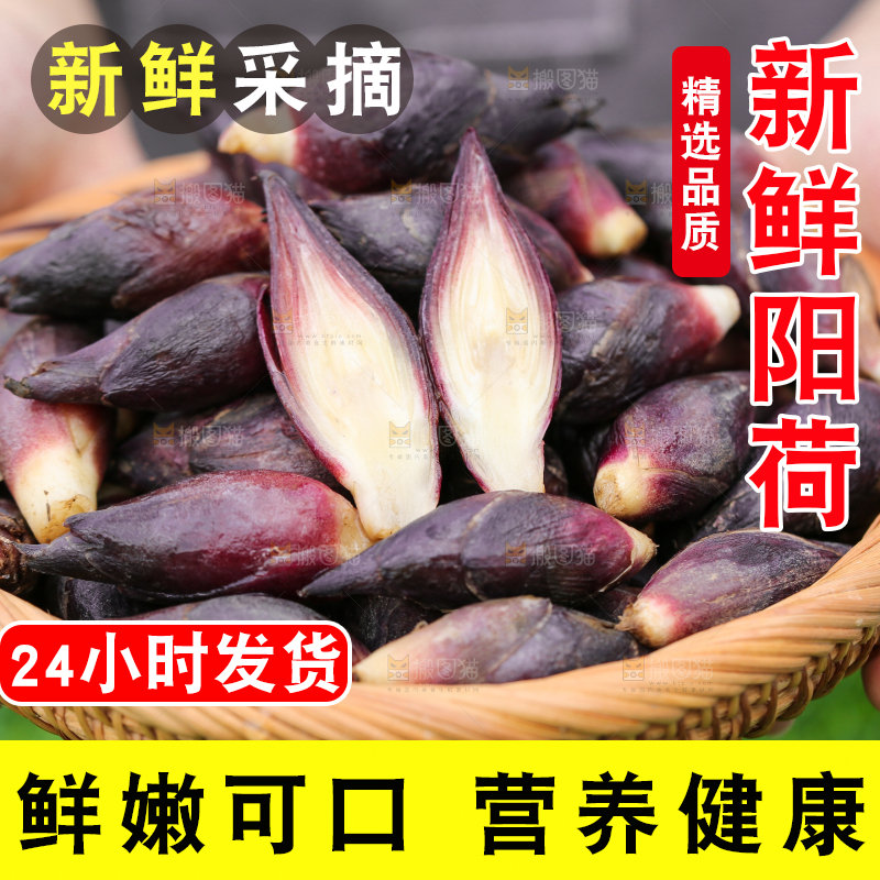 手里端着一篮阳荷姜