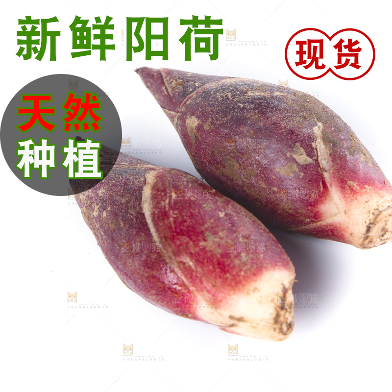 白底上摆放着阳荷姜