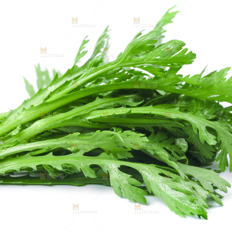 白底上的蓬蒿菜