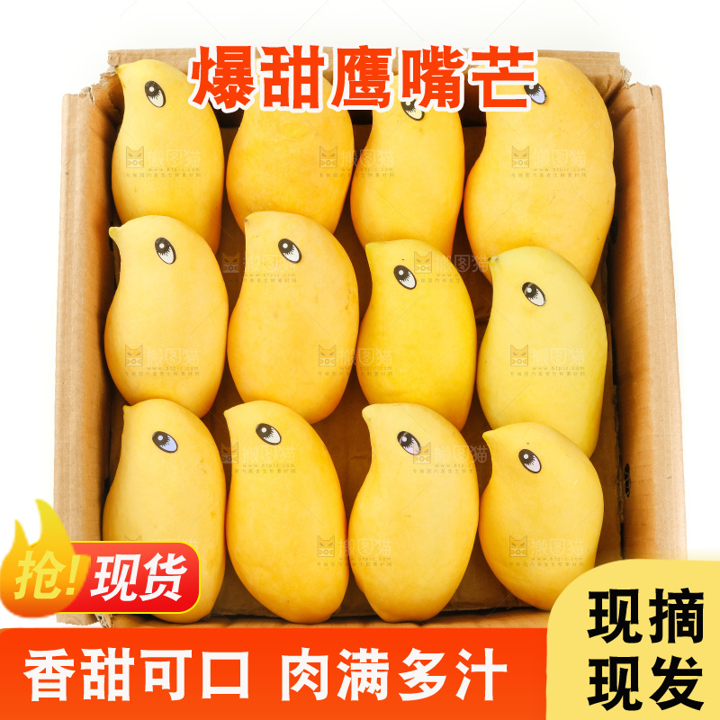 纸箱里装着鹰嘴芒