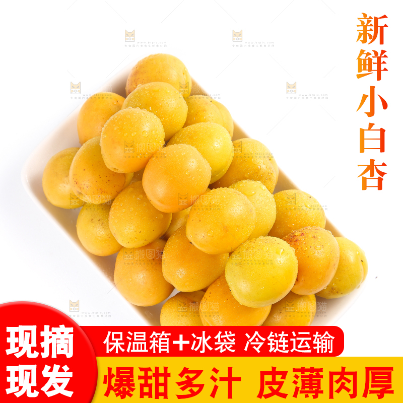 盘子里装着新疆小白杏