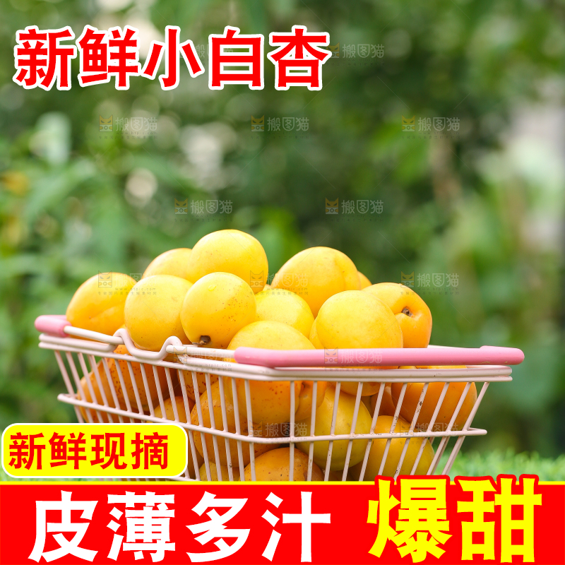 绿地上放着一篮小白杏